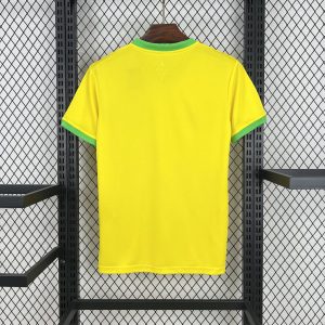 Mens Brazil 2025/26 Jordan Yellow Special Edition Jersey